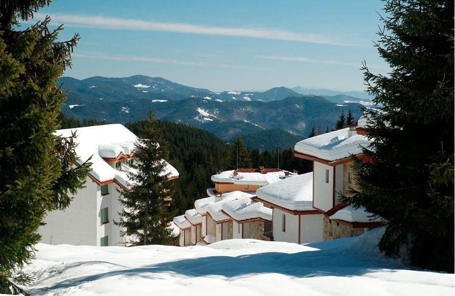 Ski Chalets At Pamporovo - An Affordable Village Holiday For Families Or Groups Zewnętrze zdjęcie